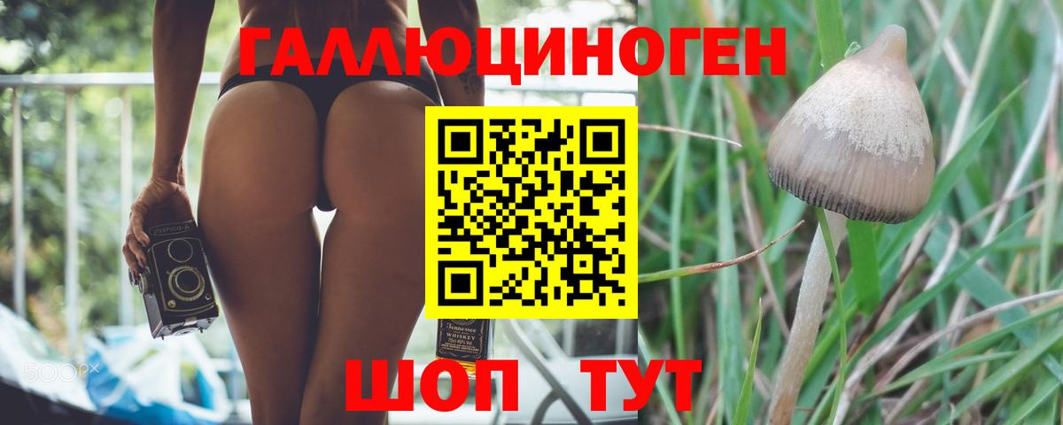 Галлюциногенные грибы мицелий Зеленогорск
